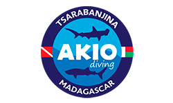 Akio Diving Logo